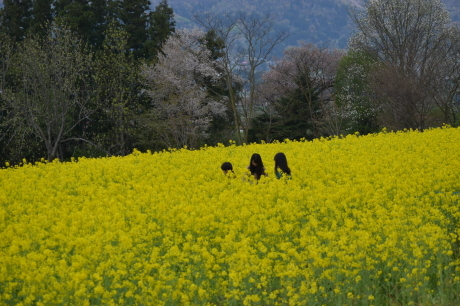 f0362524_20301121.jpg