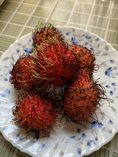 c0364428_13261647.jpeg