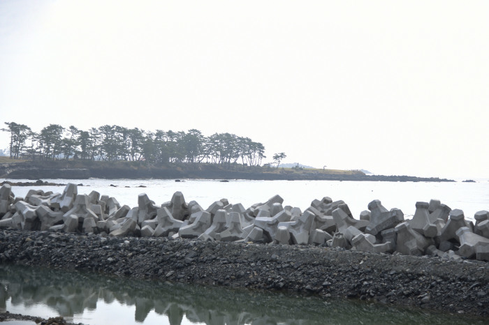 旧宮城県気仙沼向洋高等学校（震災遺構）（5/6）_d0211930_07242356.jpg