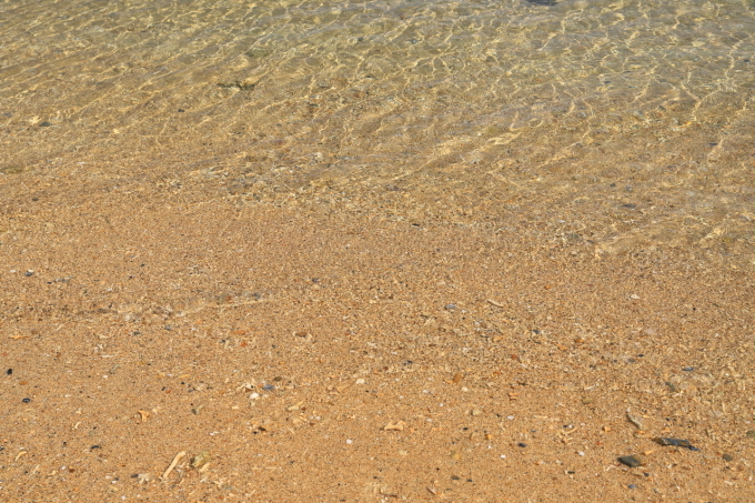 f0348831_21574590.jpg