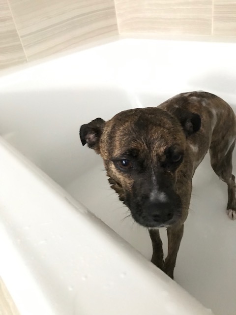 d0269832_20053399.jpeg