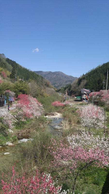 f0361132_17253842.jpg