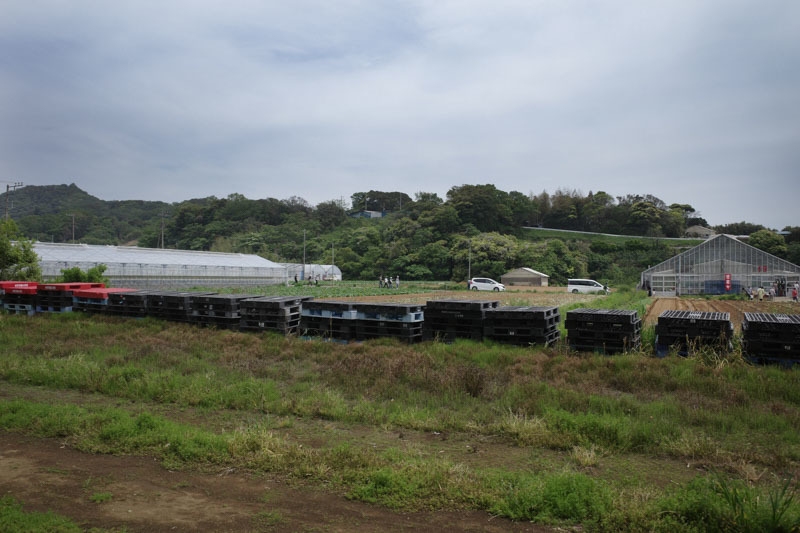a0318033_00041932.jpg
