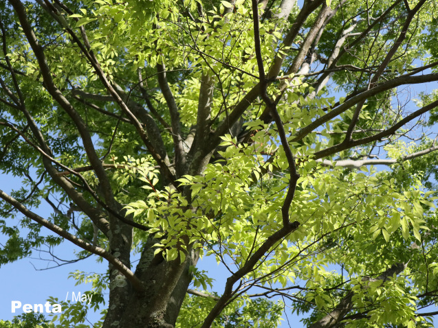 c0227134_03584340.jpg