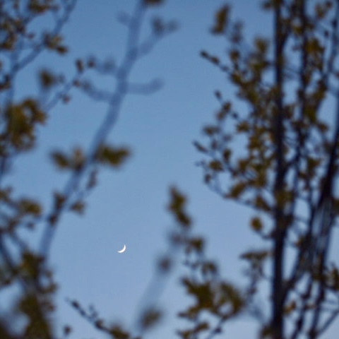a0329935_21112274.jpeg