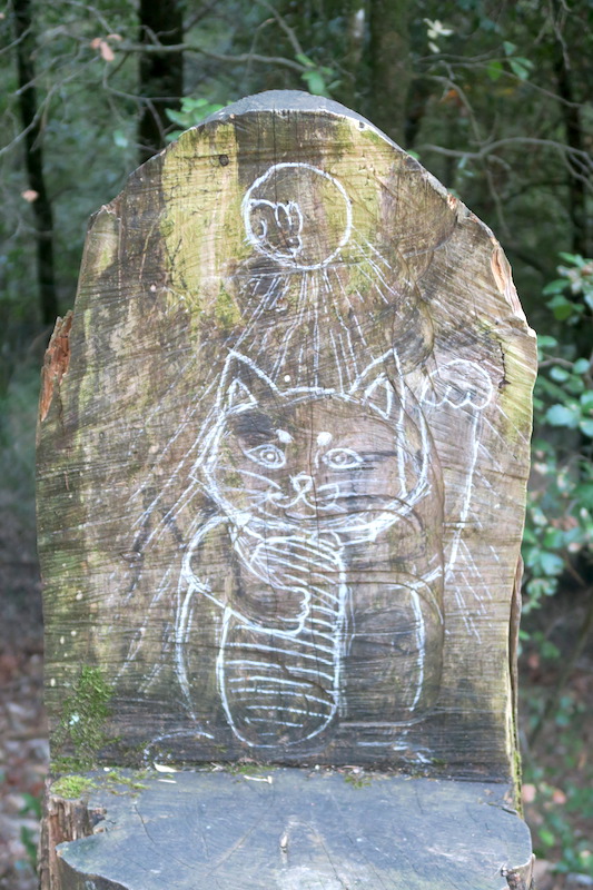 一目惚れした猫カップとイタリアの山にびっくり招き猫_f0234936_610061.jpg