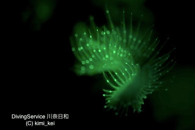 b0163039_17363630.jpg