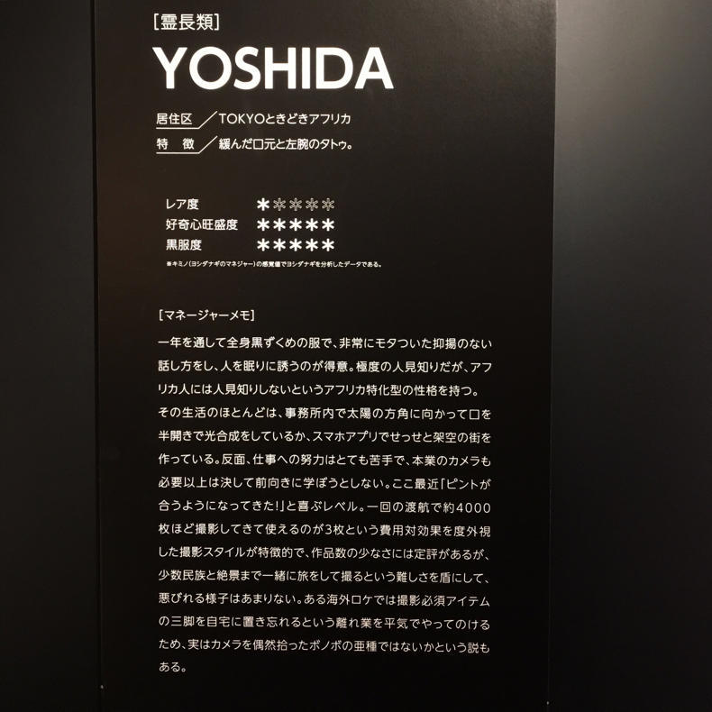 ウォーキングの途中、西武渋谷の『ヨシダナギ展』へ_c0060143_08212399.jpg