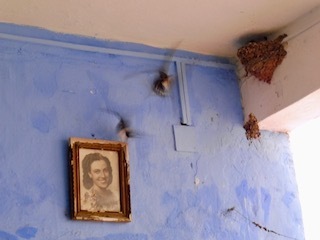 b0396150_11442154.jpeg