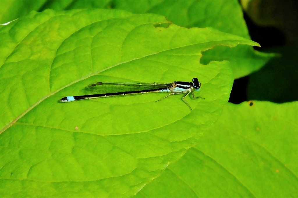 b0236251_10563485.jpg