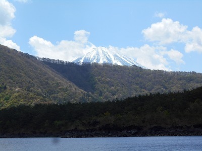 19年5月7日西湖 バクバク ヘラブナ釣行記