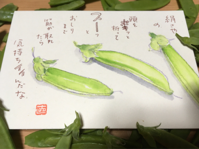 絹さや。。あなたはどちら？_e0136066_17333597.jpg