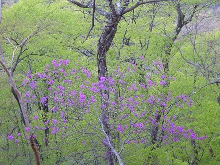 c0303868_06545789.jpg