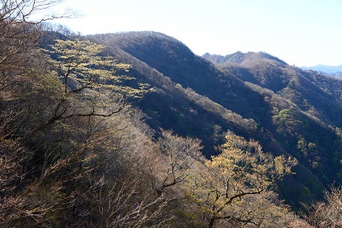 c0303868_06581156.jpg