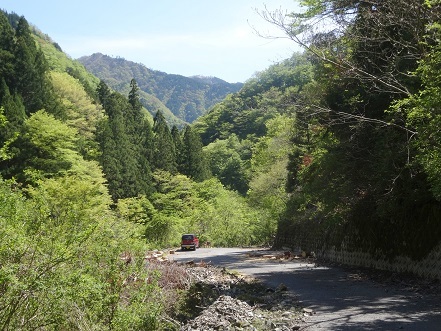 新緑の尾根を歩く　　明神岳～千石山_c0303868_07070937.jpg