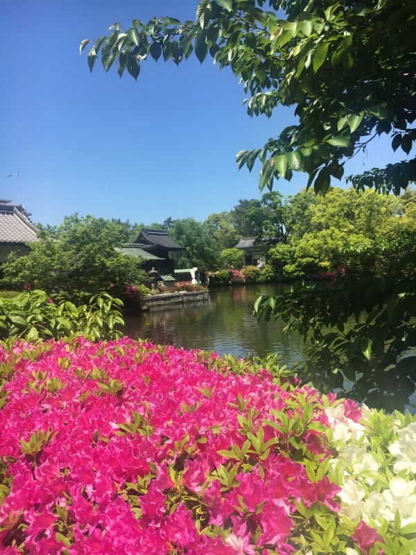 f0363168_09414444.jpeg