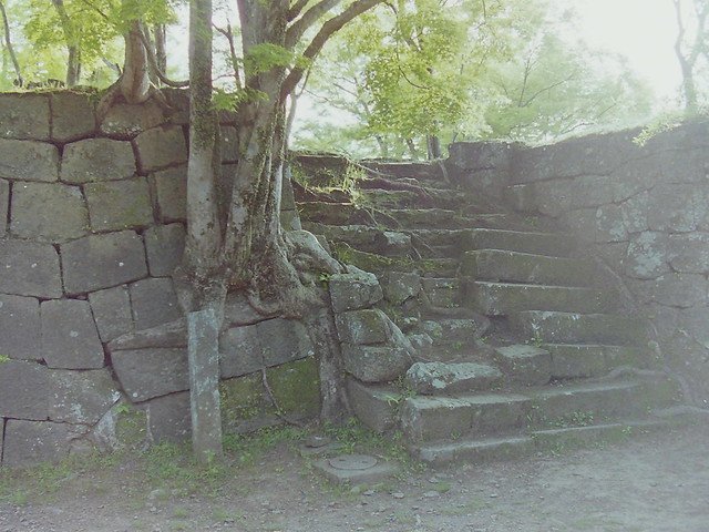 【古絵葉書〜混浴温泉、菊水楼、開口神社、鴨緑江断橋】【紅毛雑話〜ハラキリ、ワニ、男色】【大村益次郎旧像】ほかテレビ視聴日記:2019/5/3-9twitterまとめ(旅行以外)_b0116271_17170968.jpg
