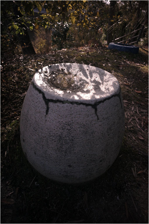 c0168172_23121974.jpg