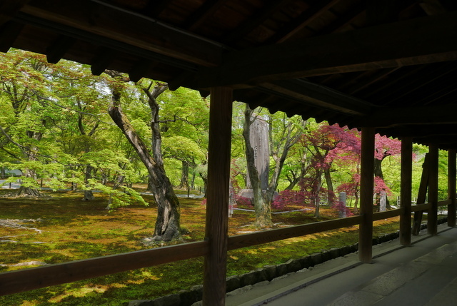 東福寺 新緑の庭 ぶらり休暇 東福寺 新緑の庭 ぶらり休暇