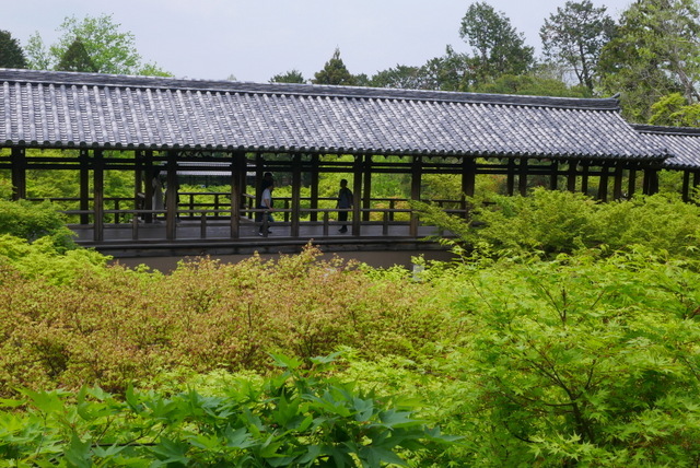 b0358575_07022644.jpg