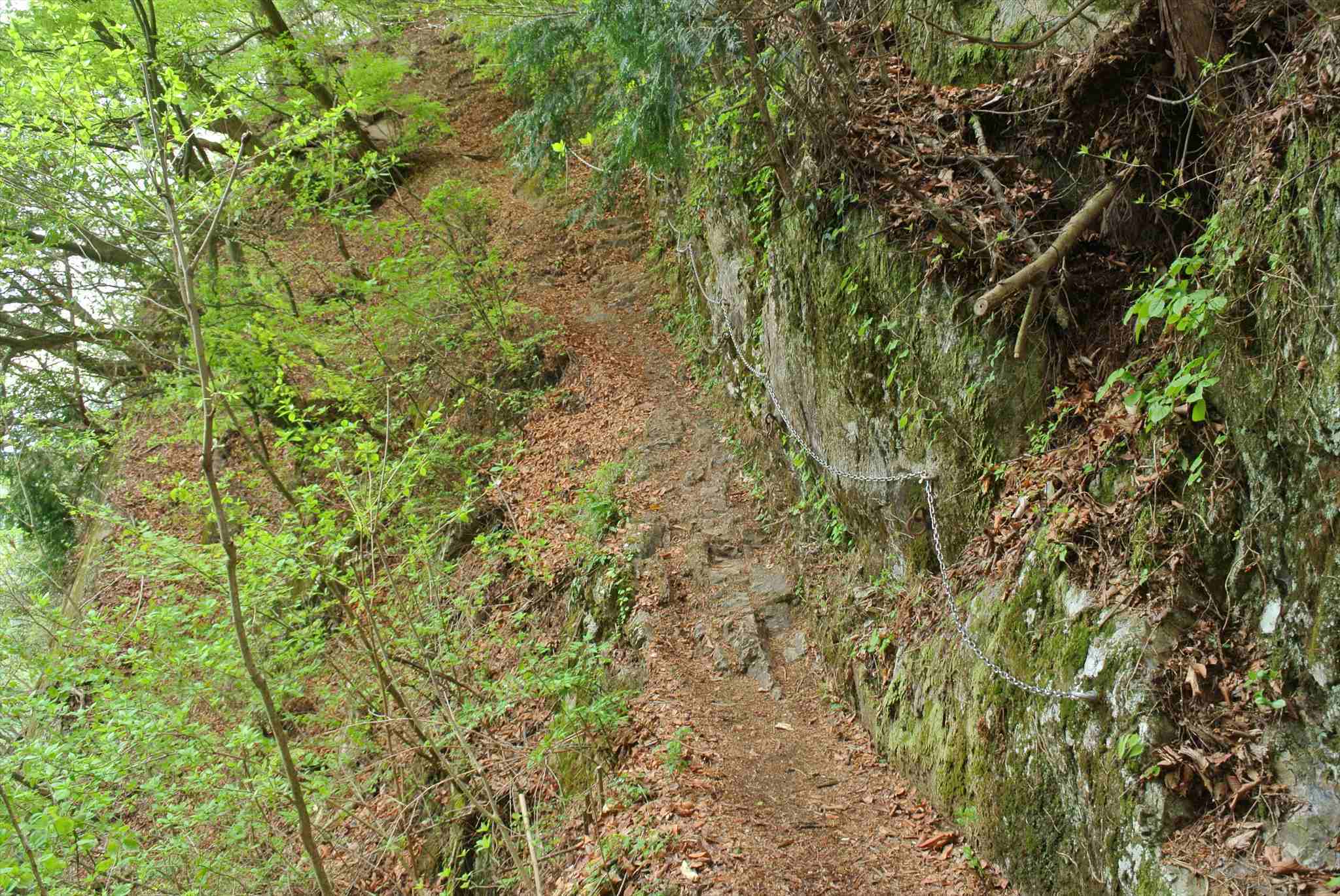 d0328977_13313129.jpg
