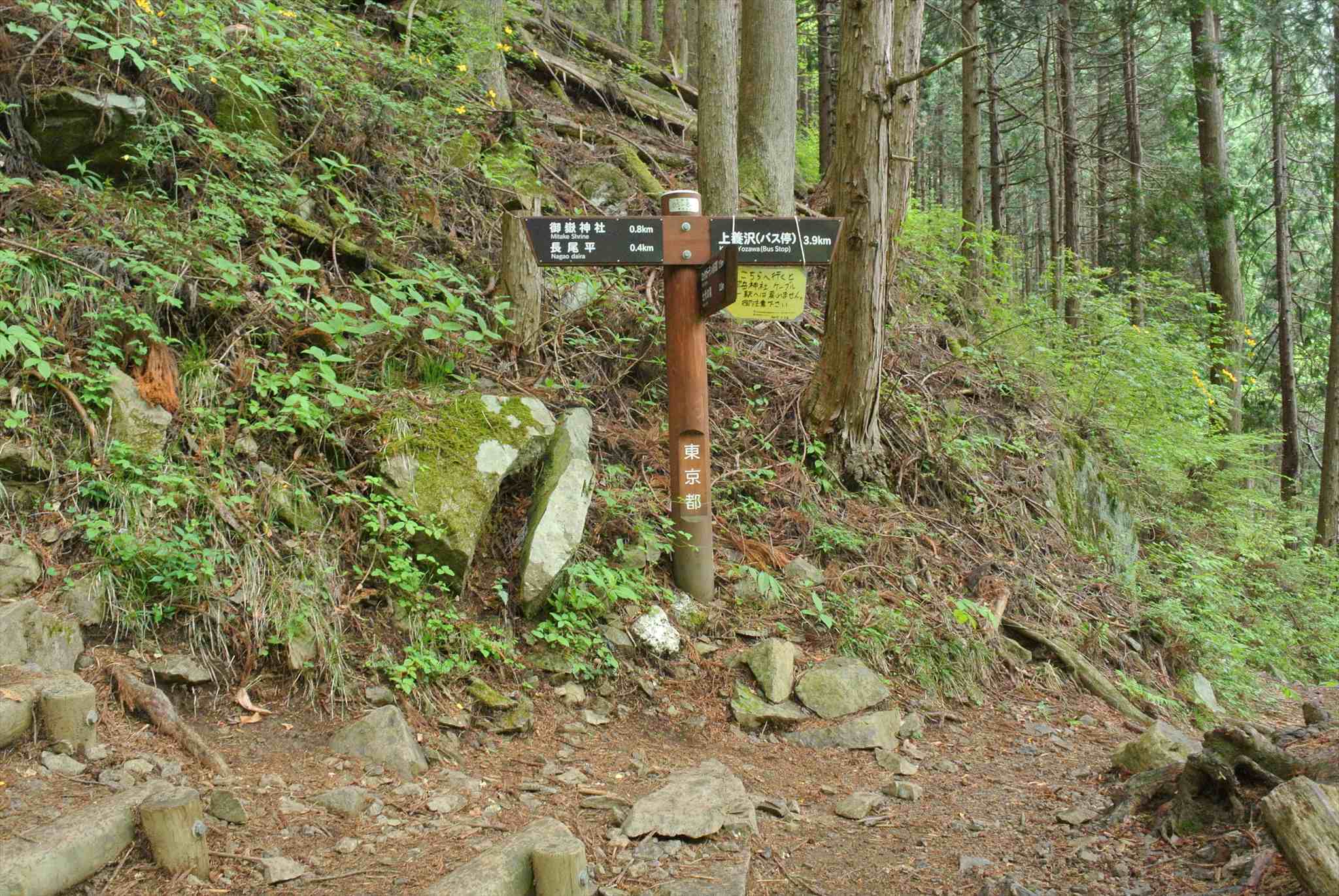 d0328977_13320232.jpg