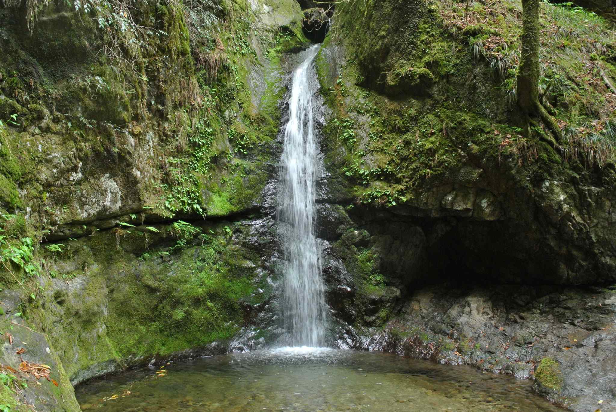 d0328977_13320274.jpg