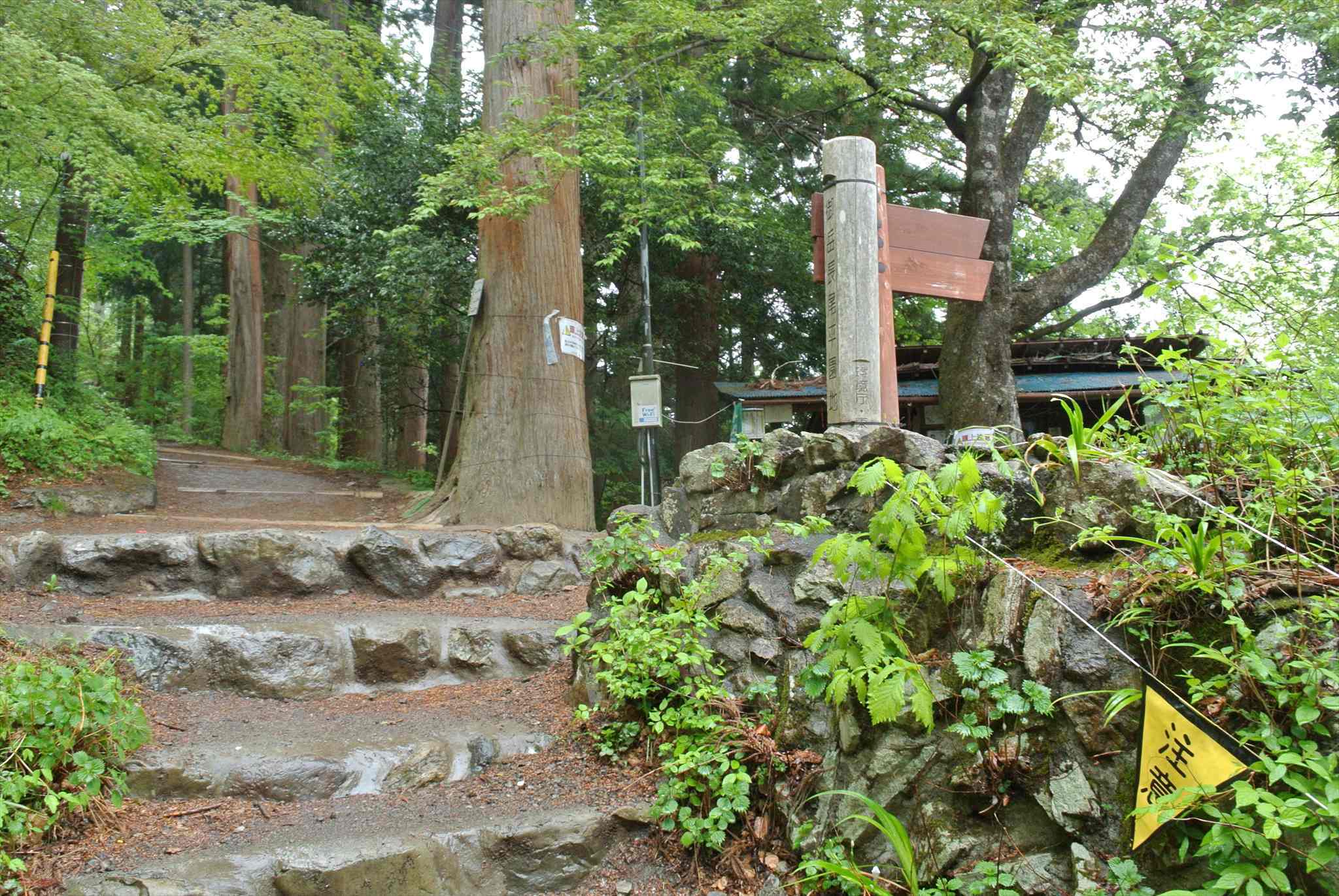 d0328977_13433860.jpg