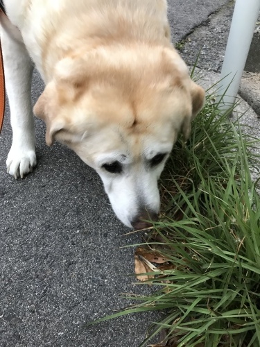f0315081_21501317.jpeg