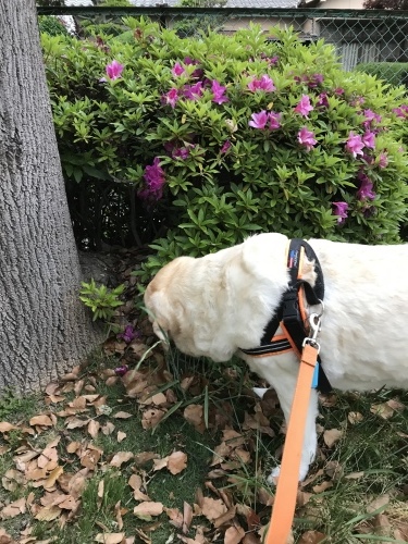 f0315081_21511446.jpeg