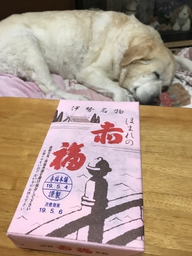 f0315081_22151038.jpeg