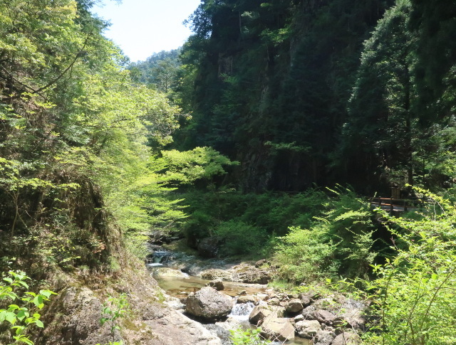 d0098183_09103970.jpg