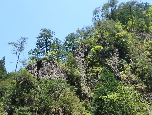 d0098183_09153223.jpg