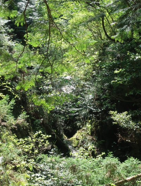 d0098183_09225993.jpg