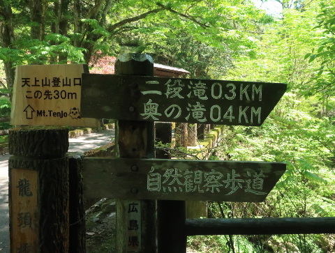 d0098183_09560919.jpg
