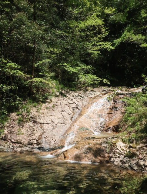 d0098183_10011689.jpg