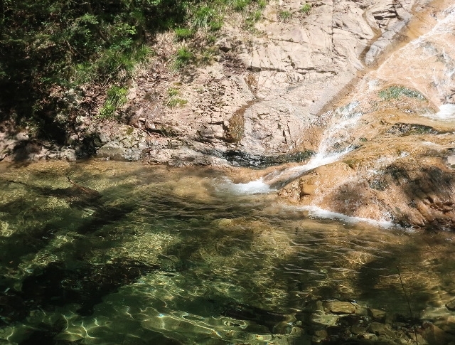 d0098183_10025979.jpg