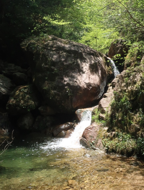 d0098183_10101695.jpg