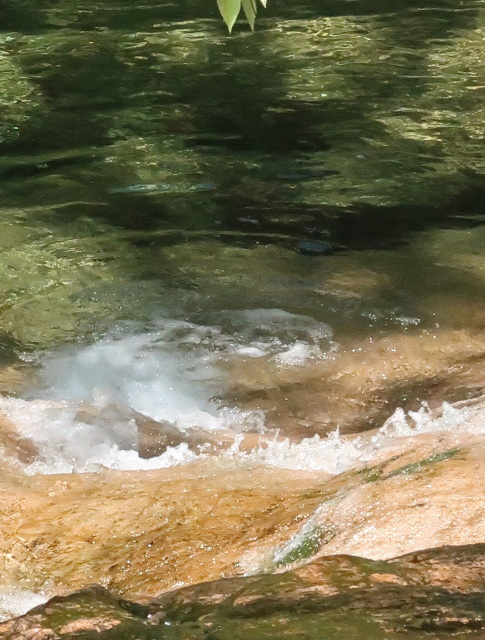 d0098183_10110831.jpg