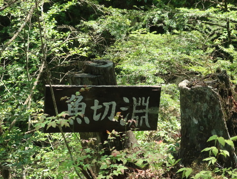 d0098183_11401967.jpg