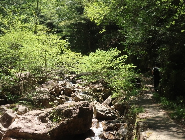 d0098183_11443700.jpg