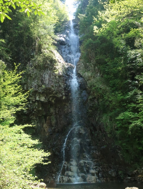 d0098183_11464606.jpg
