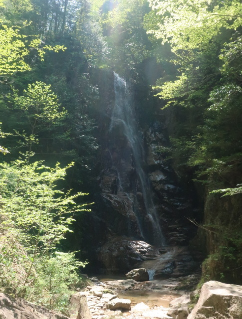 d0098183_11494345.jpg