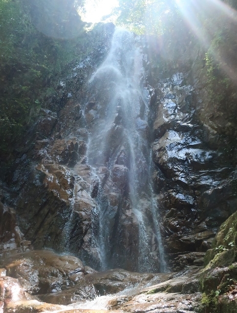 d0098183_11590461.jpg