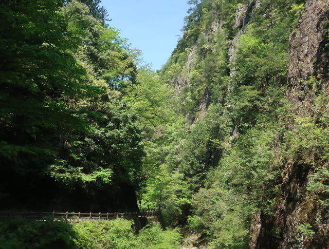d0098183_12080942.jpg