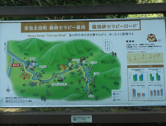 d0098183_12211259.jpg