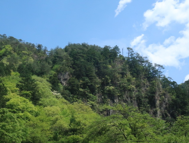 d0098183_12255088.jpg
