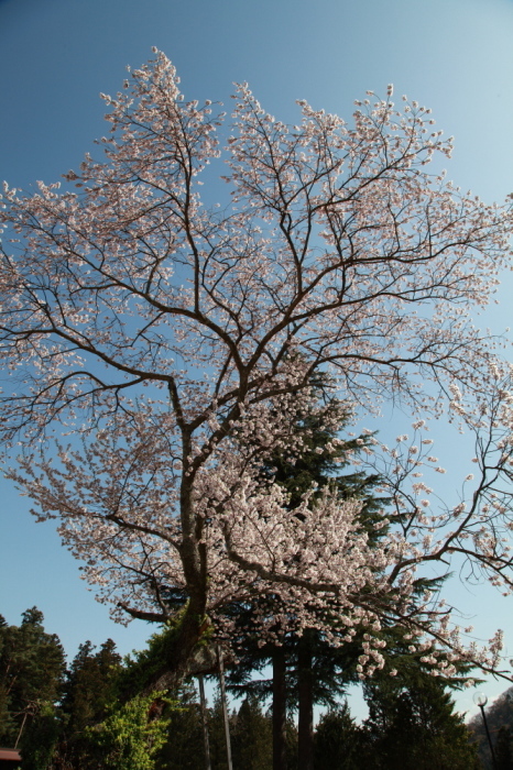 e0165983_12305501.jpg