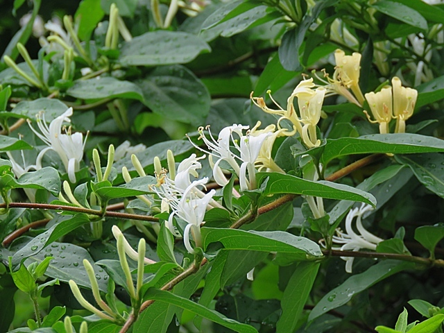 f0357487_21103090.jpg