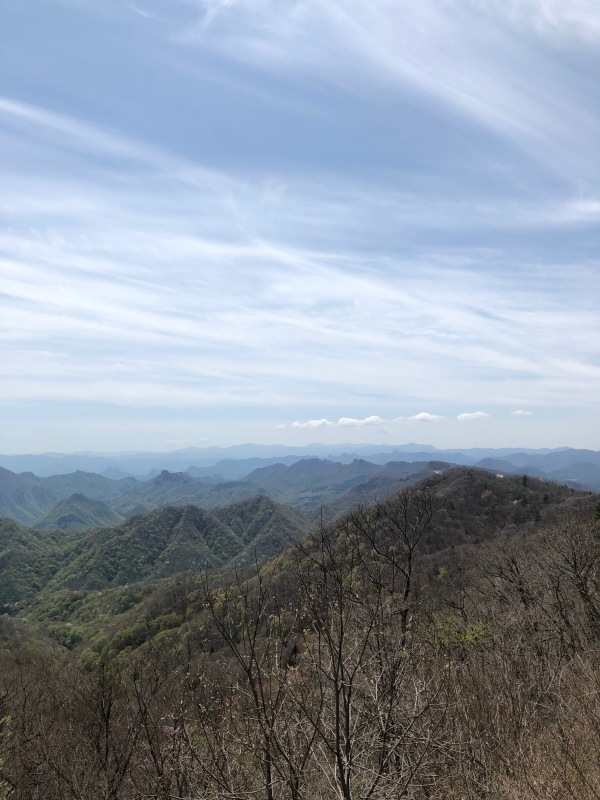 d0217189_20554360.jpeg